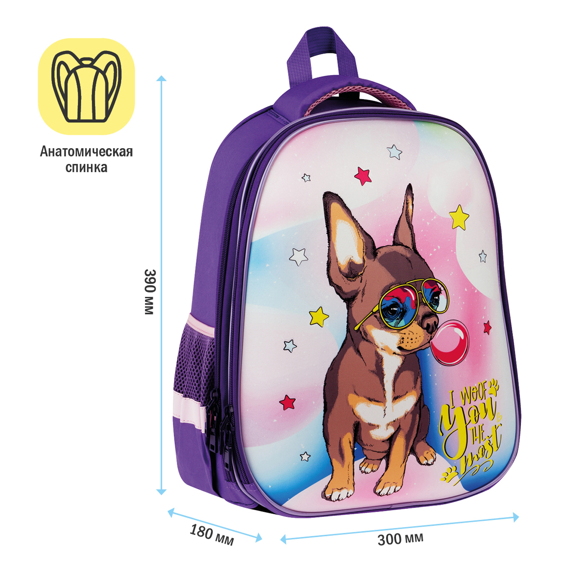 Ранец ArtSpace School Friend "Woof" 39*30*18см, 2 отделения, 2 кармана, анатомическая спинка - фото 3