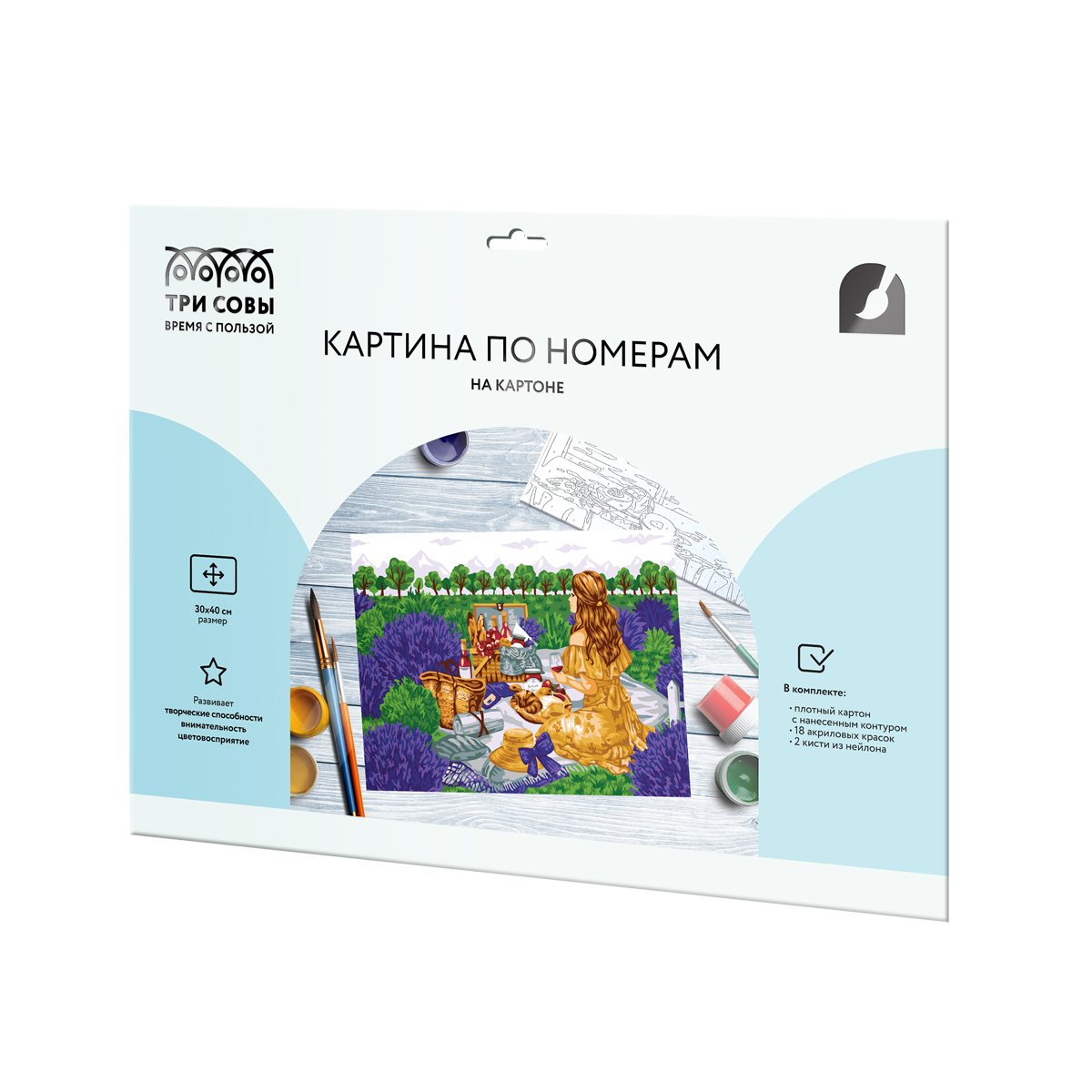 Картина по номерам на картоне ТРИ СОВЫ "Пикник", 30*40, с акриловыми красками и кистями - фото 2