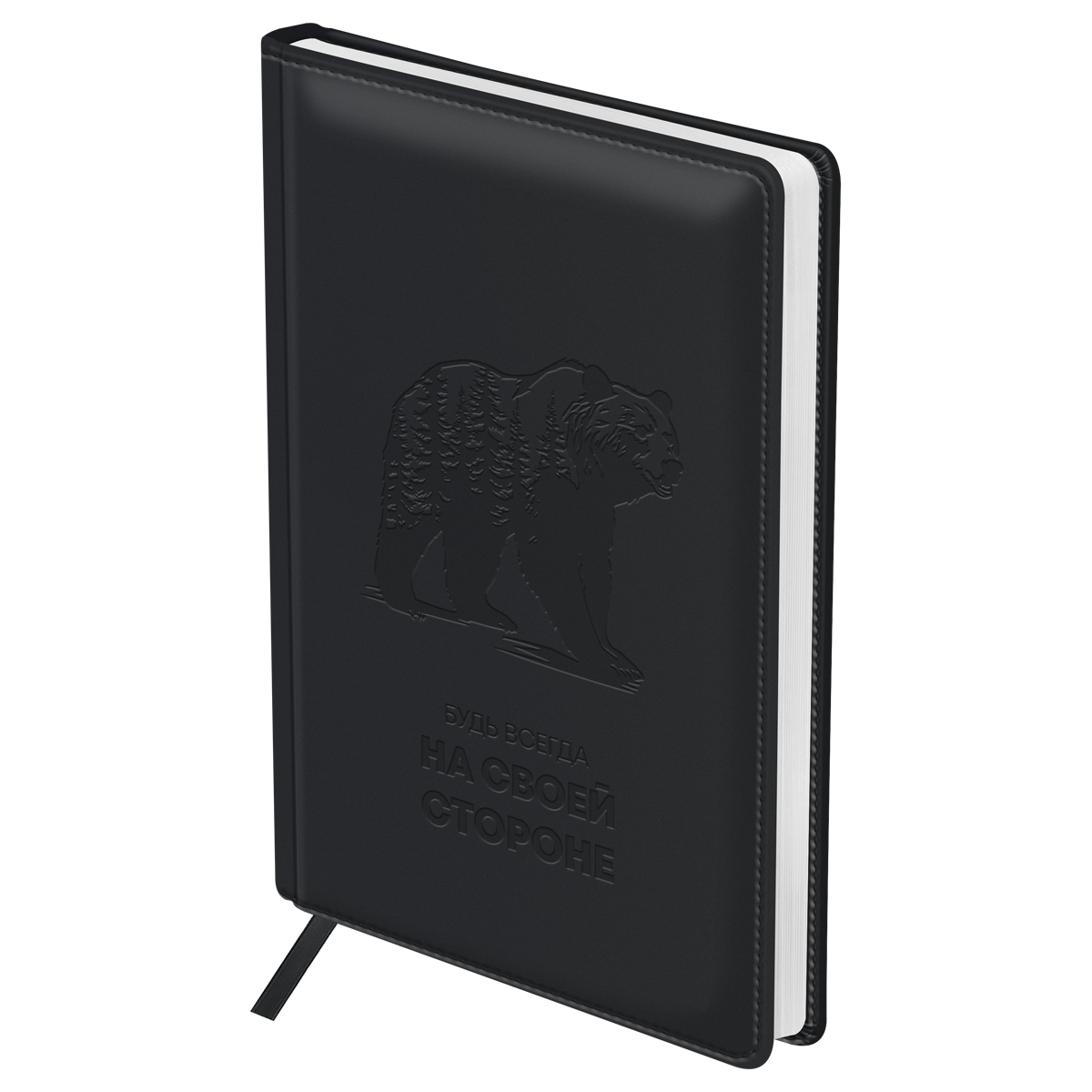 Ежедневник недатированный, А5, 136л., твердый переплет, кожзам, BG "На своей стороне", черный, в подарочной коробке - фото 2