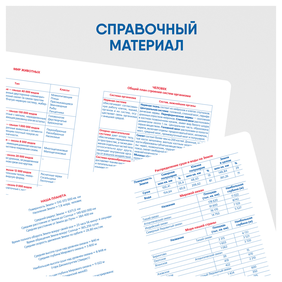 Комплект (12 шт.) предметных тетрадей 48л. BG "Monocolor. Element", ламинация soft-touch, выб. лак, 70г/м2, пенал - фото 6