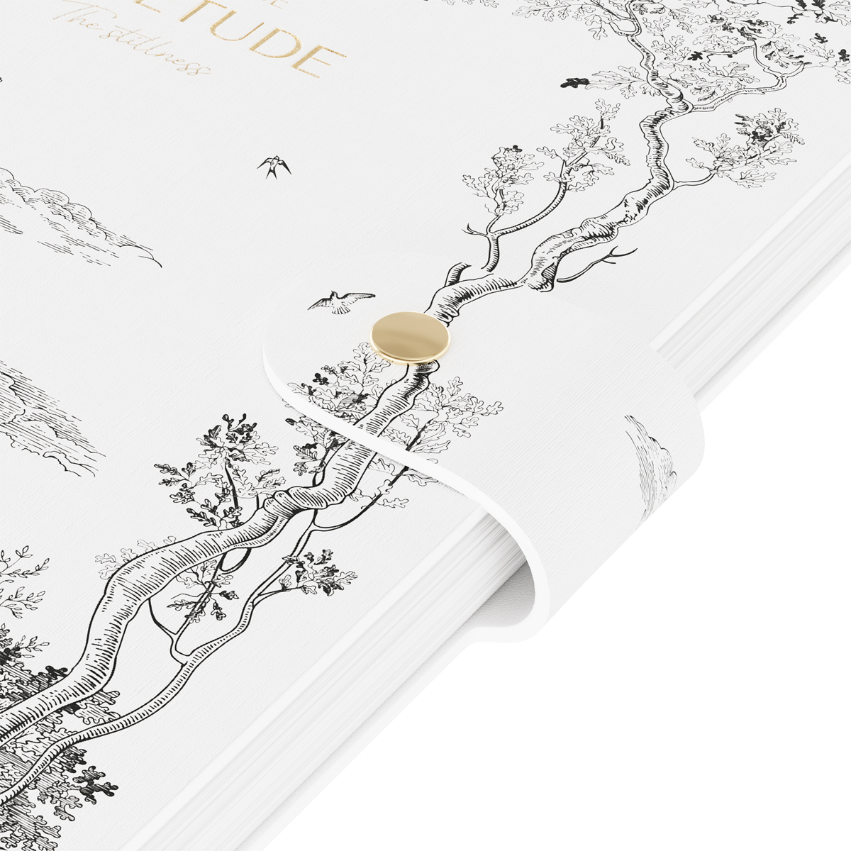 Ежедневник недатированный, А5, 136л., мягкий переплет, экокожа, BG "Embrace. Idyll", на гребне, подарочная  коробка, ручка в комплекте - фото 4