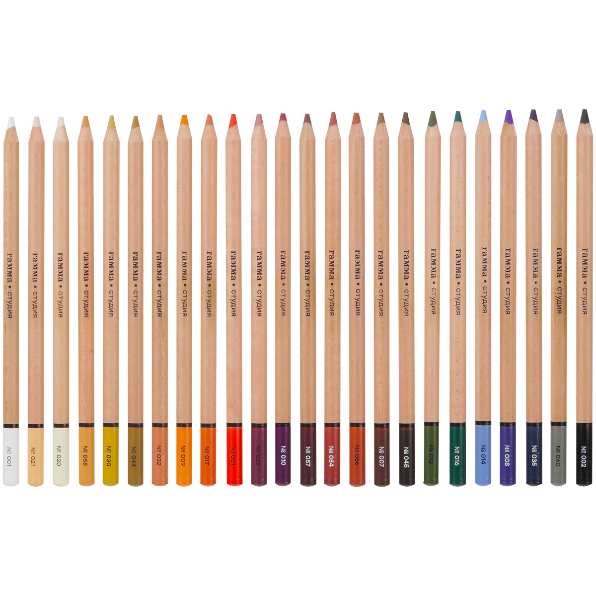 Пастельные карандаши Гамма "Студия", 24цв. , картон.упаковка - фото 3