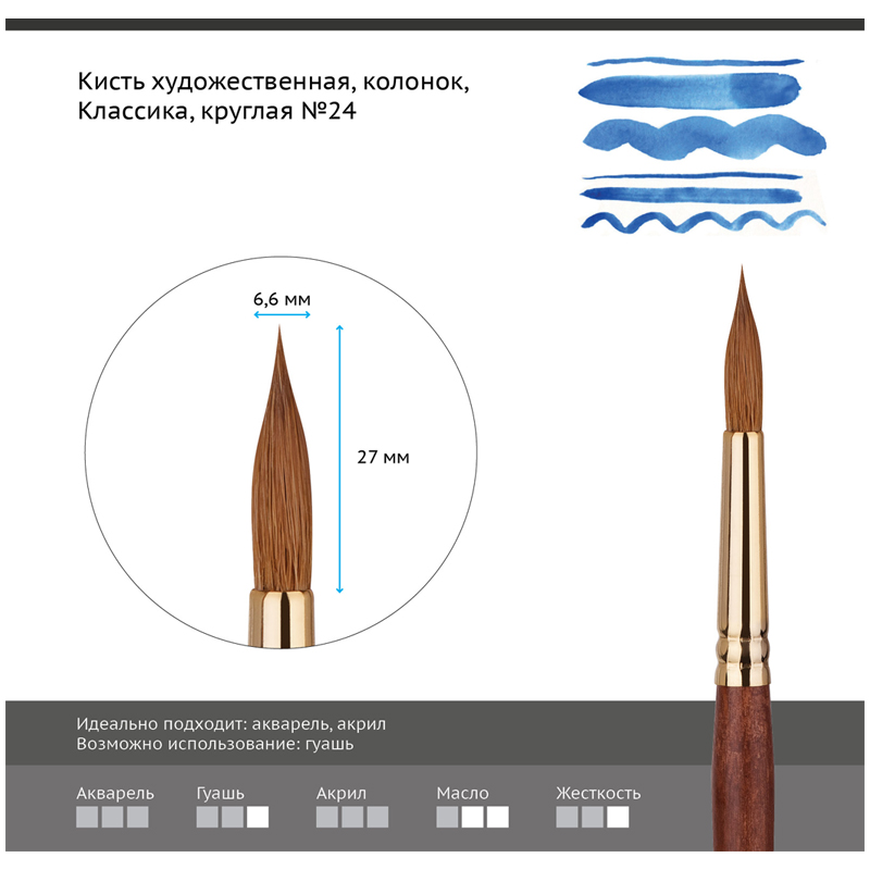 Кисть художественная колонок Гамма "Классика", круглая №24 - фото 2