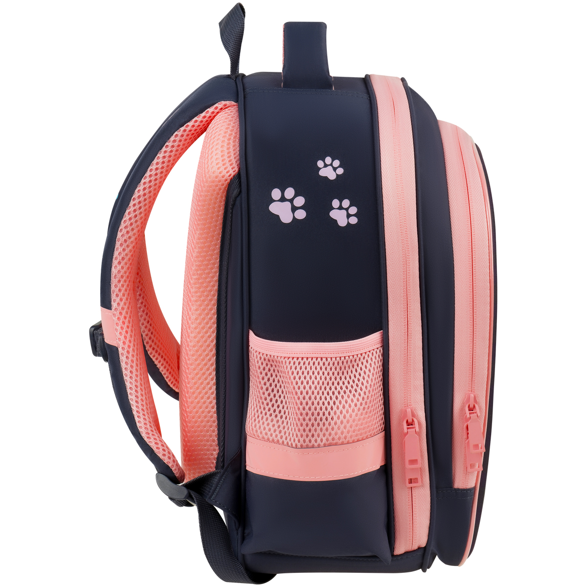 Ранец ArtSpace School Friend Light "Cute Paws" 35*29*12см, 2 отделения, 2 кармана, анатомическая спинка - фото 3