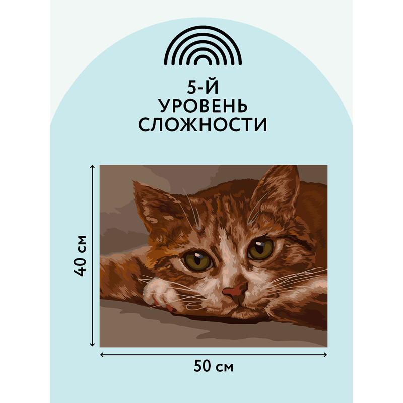 Картина по номерам на холсте ТРИ СОВЫ "Рыжик", 40*50, с акриловыми красками и кистями - фото 3