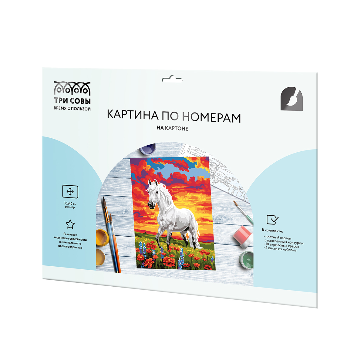 Картина по номерам на картоне ТРИ СОВЫ "Дух свободы", 30*40, с акриловыми красками и кистями - фото 2
