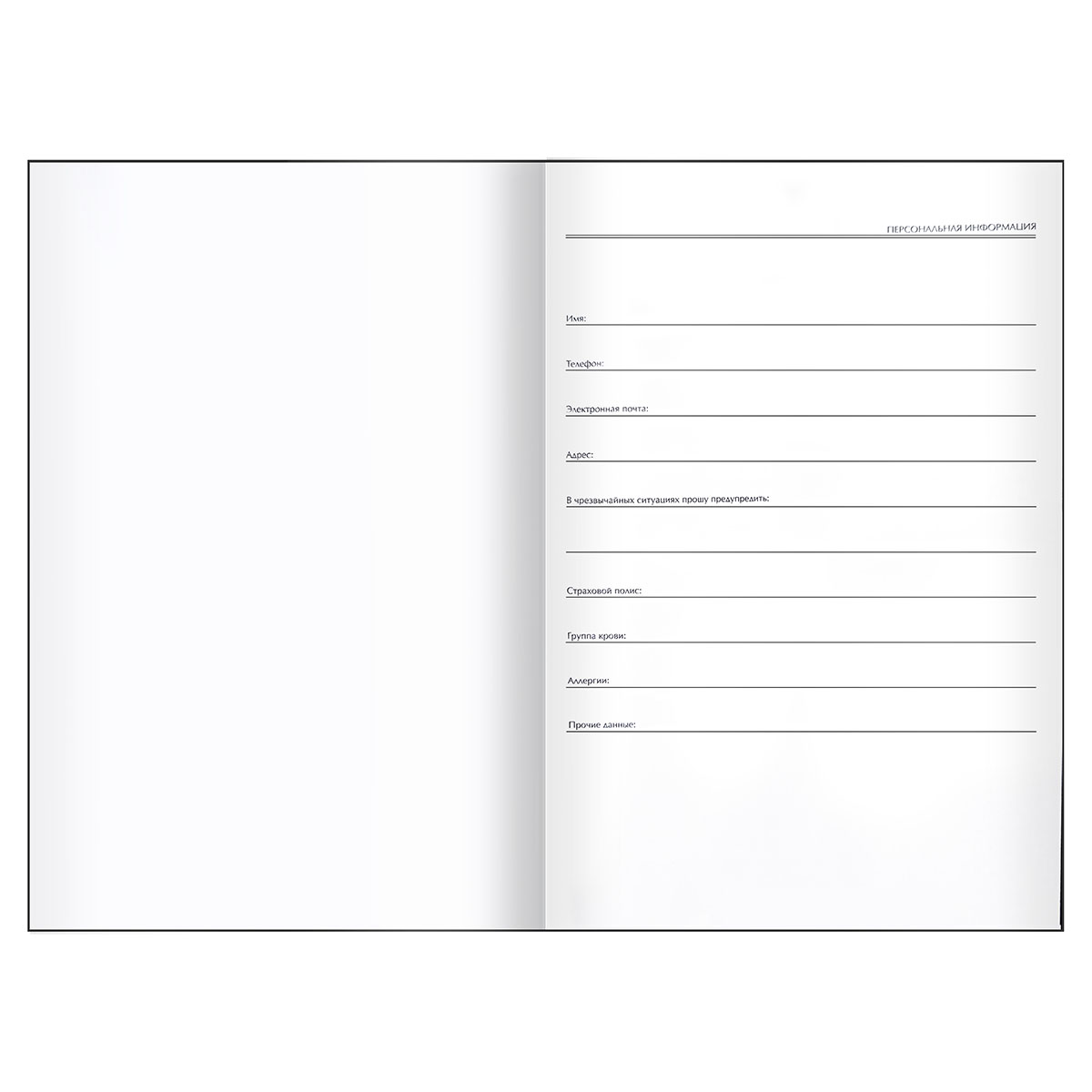 Ежедневник недатированный А5, 136л., 7БЦ, BG "Time to travel", глянцевая ламинация - фото 3