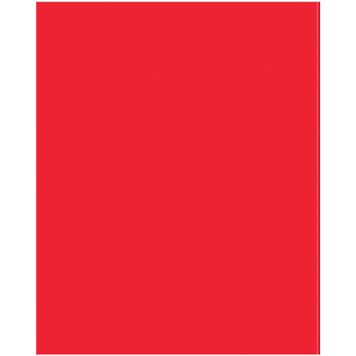 Комплект (12 шт.) предметных тетрадей 48л. BG "Перфокарта", пластиковая обложка - фото 7