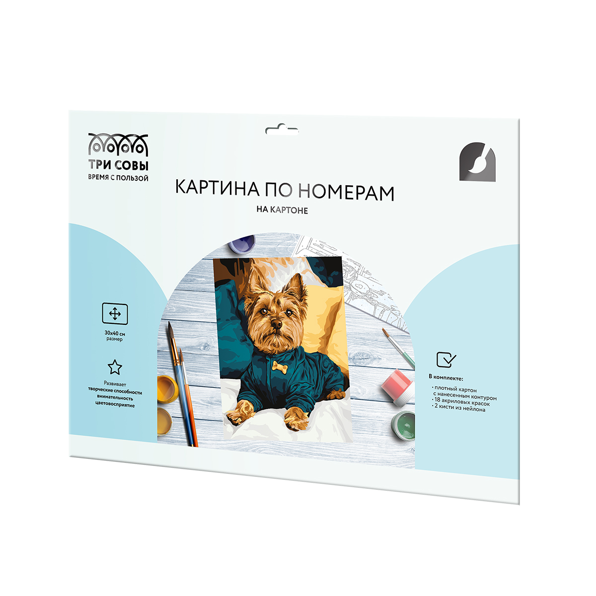 Картина по номерам на картоне ТРИ СОВЫ "Модный йорк", 30*40, с акриловыми красками и кистями - фото 2