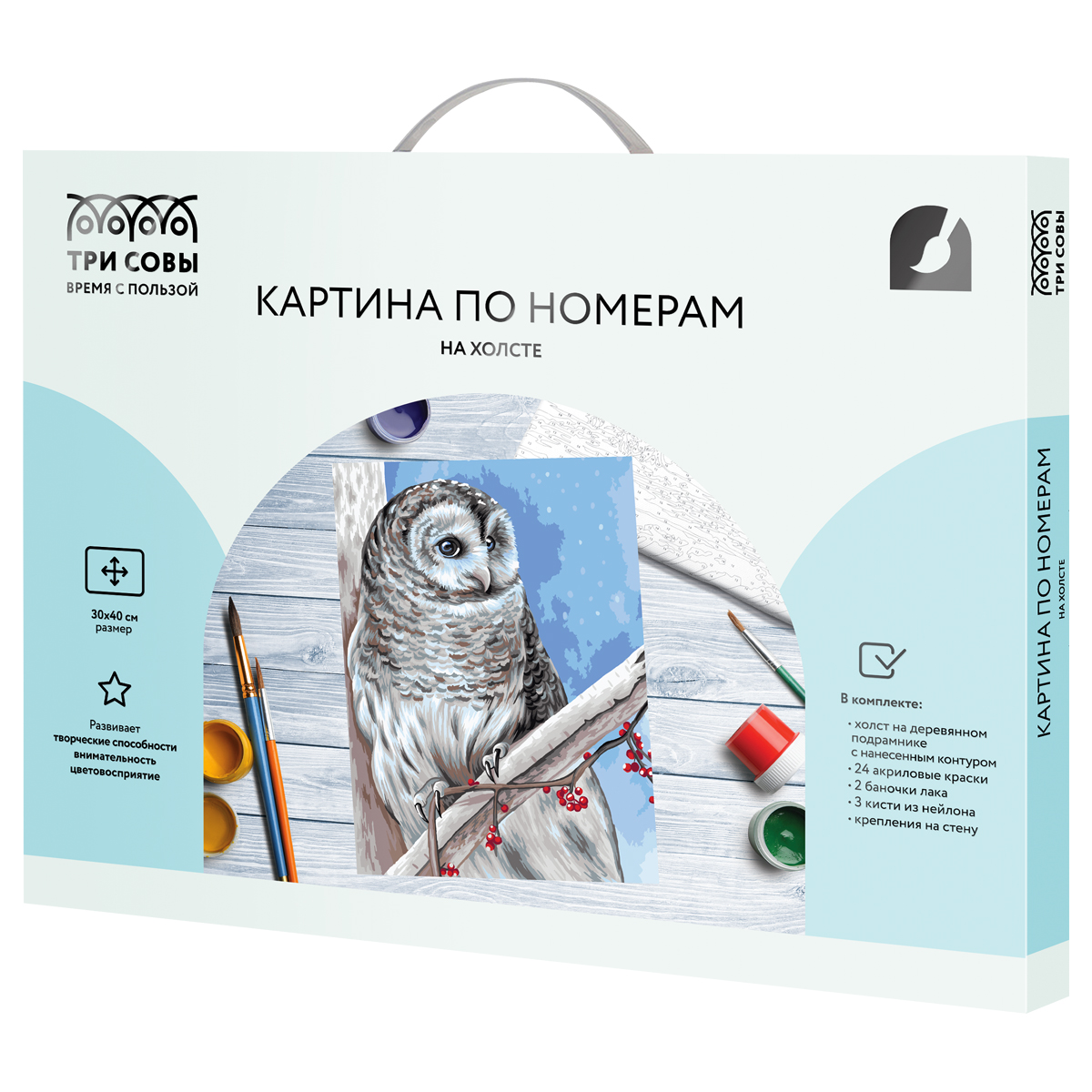 Картина по номерам на холсте ТРИ СОВЫ "Белая сова", 30*40, с акриловыми красками и кистями - фото 2