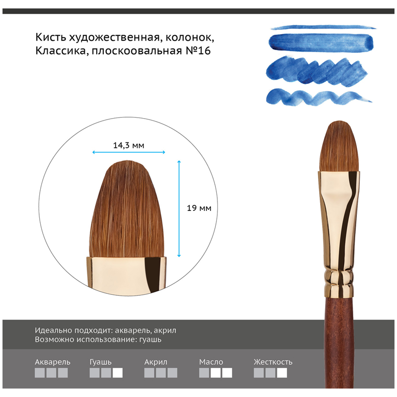 Кисть художественная колонок Гамма "Классика", плоскоовальная №16 - фото 2
