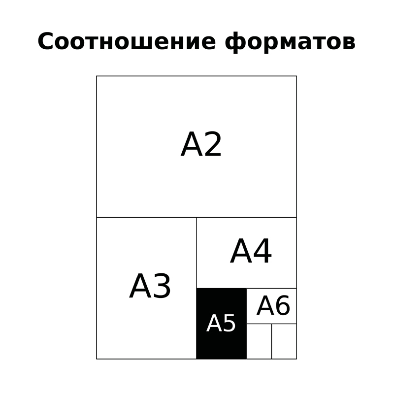 Тетрадь 24л., линия BG "Отличная", 70г/м2 - фото 10