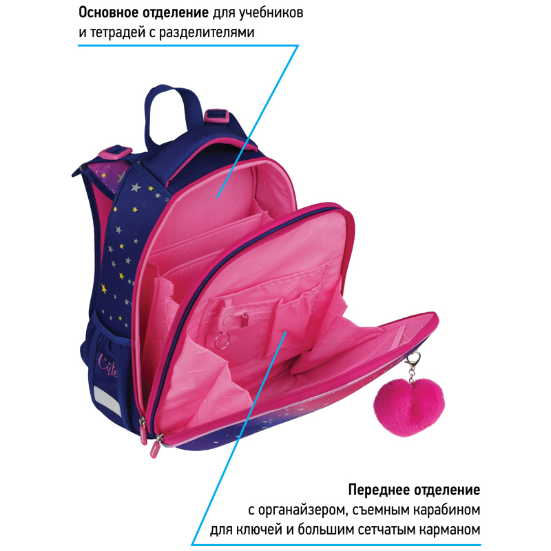 Ранец Berlingo Expert "Akita boy" 37*28*16см, 2 отделения, 2 кармана, анатомическая спинка - фото 8