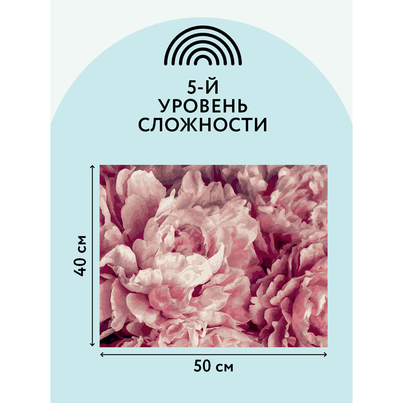 Картина по номерам на холсте ТРИ СОВЫ "Нежные пионы", 40*50, с акриловыми красками и кистями - фото 3