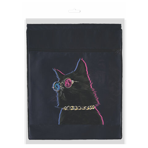 Мешок для обуви BRAUBERG, с петлёй, карман на молнии, 47х37 см, "Movie time", 270910 - фото 6