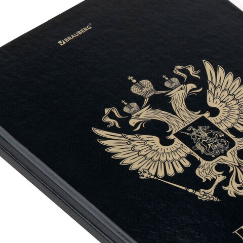 Дневник 1-11 класс 40 л., твердый, BRAUBERG, глянцевая ламинация, "Герб", 107598 - фото 3