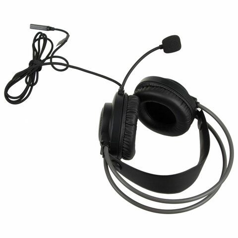 Наушники с микрофоном (гарнитура) A4TECH Fstyler FH200U, проводные, 2 м, USB, серые, 1431333 - фото 2