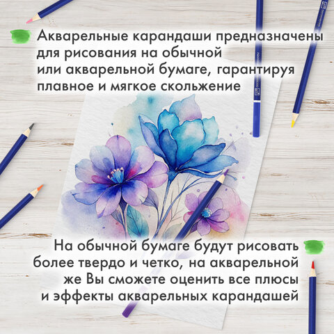 Карандаши художественные цветные акварельные BRAUBERG ART CLASSIC, 48 цветов, грифель 3,3 мм, 181532 - фото 11
