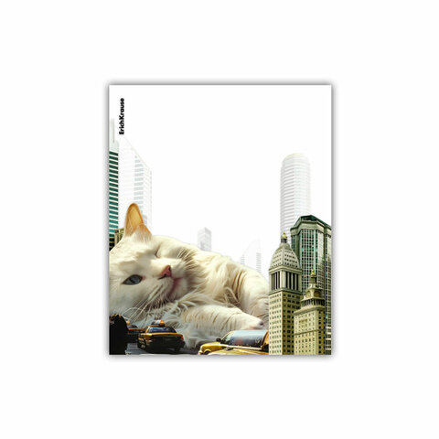 Обложки ПП для тетрадей и дневников ERICH KRAUSE "Big City Cats", КОМПЛЕКТ 12 шт., 80 мкм, 212х347 мм, 63508 - фото 2