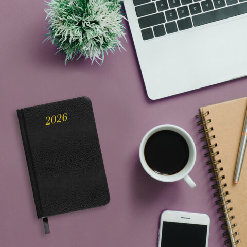 Ежедневник датированный 2026, МАЛЫЙ ФОРМАТ 100х150 мм, А6, BRAUBERG "Iguana", под кожу, черный, 117252 - фото 4