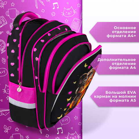 Рюкзак BRAUBERG KIDS MIND с пеналом в комплекте, 2 отделения, "Tiger Cub", 40х28х18 см, 273175 - фото 12