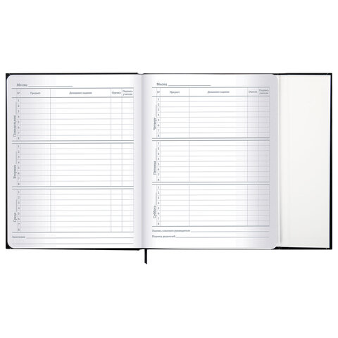 Дневник 1-11 класс 48 л., твердый, BRAUBERG, матовая ламинация, магнитный клапан, закладка-ляссе, с подсказом, "Дракон", 107245 - фото 13