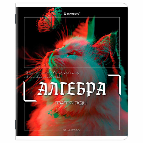Тетради предметные, КОМПЛЕКТ 12 ПРЕДМЕТОВ, 48 л., глянцевый УФ-лак, BRAUBERG "GLITCH", 405170 - фото 6