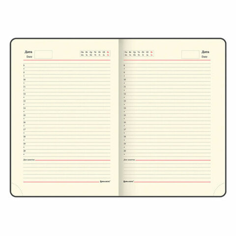 Ручка шариковая PARKER "Jotter Plastic CT", корпус черный, ежедневник А5 черный, золотой срез, пакет, 880894 - фото 4