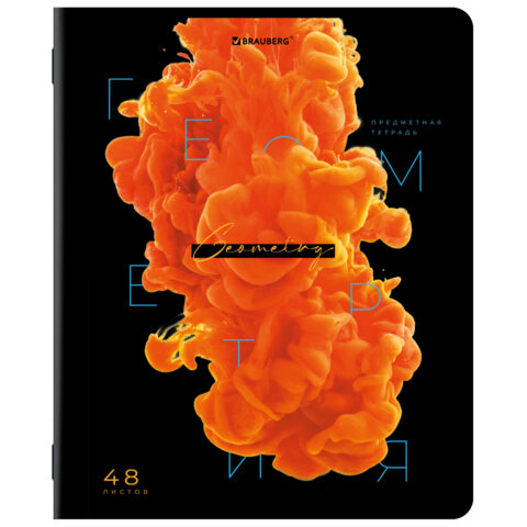 Тетради предметные, КОМПЛЕКТ 12 ПРЕДМЕТОВ, 48 л., глянцевый УФ-лак, BRAUBERG, "PIGMENT", 404834 - фото 9