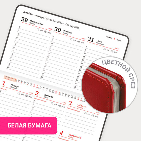 Еженедельник датированный 2026, МАЛЫЙ ФОРМАТ 95х155 мм, А6, BRAUBERG "Rainbow", под кожу, красный, 117190 - фото 18