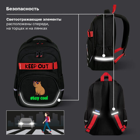 Рюкзак BRAUBERG MOTION, 2 отделения, 3 кармана, "Капибара", СВЕТЯЩИЙСЯ, 41х28х17 см, 272032 - фото 16