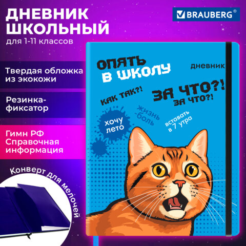Дневник 1-11 класс 48 л., кожзам (твердая), печать, резинка, конверт, BRAUBERG, "Опять в школу", 107231 - фото 18