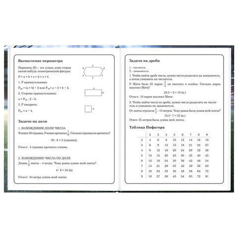 Дневник 1-4 класс 48 л., твердый, ЮНЛАНДИЯ, глянцевая ламинация, с подсказом, "Футбол", 107583 - фото 15