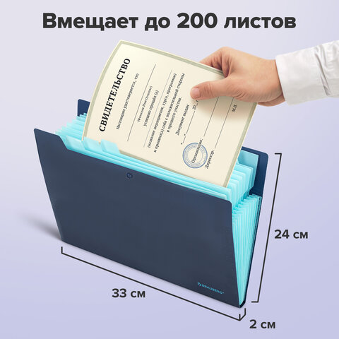 Папка-органайзер на кнопке 12 отделений, BRAUBERG "Extra", А4, синяя с голубым, 271933 - фото 10