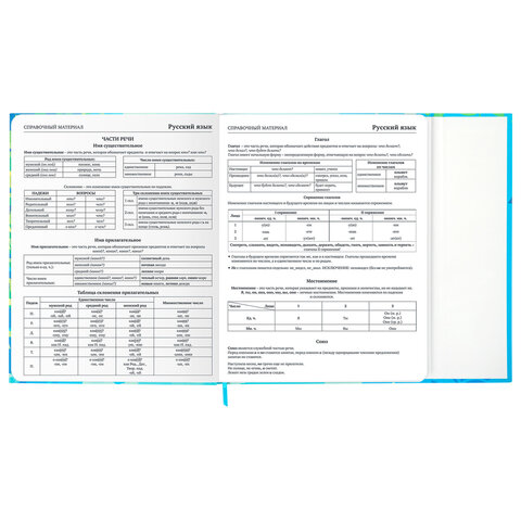 Дневник 1-11 класс 48 л., твердый, BRAUBERG, матовая ламинация, магнитный клапан, закладка-ляссе, с подсказом, "Котик", 107244 - фото 14
