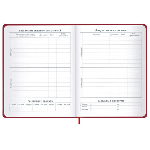 Дневник 1-11 класс 48 л., твердый, BRAUBERG, матовая ламинация, резинка, закладка-ляссе, с подсказом, "Мото", 107236 - фото 11