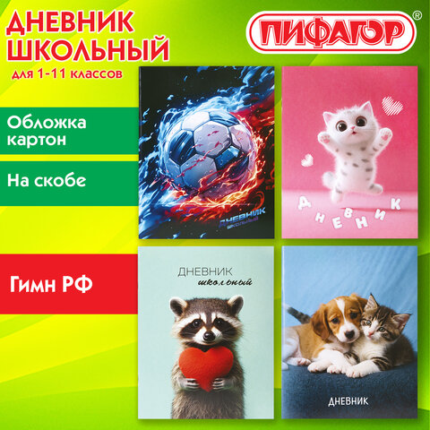 Дневник 1-11 класс 40 л., на скобе, ПИФАГОР, обложка картон, МИКС "Универсальный", 107578 - фото 14