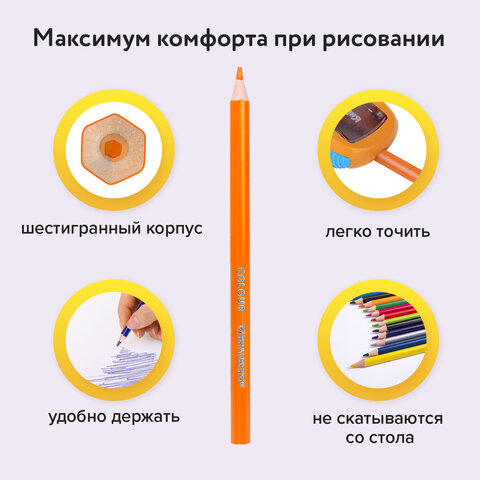 Карандаши цветные BRAUBERG PREMIUM, 24 цвета, шестигранные, грифель 3 мм, 181668 - фото 9