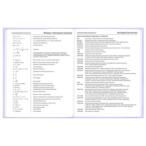 Дневник 5-11 класс 48 л., твердый, BRAUBERG, матовая ламинация, с подсказом, "Классика", 107610 - фото 13