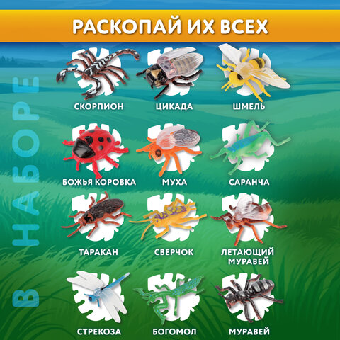 Набор для раскопок "Насекомые", 12 видов, карточки, инструменты, BRAUBERG KIDS, 665127 - фото 14
