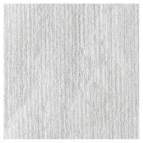 Протирочный нетканый материал KIMBERLY-CLARK Wypall X50, 1100 листов в рулоне, 24,9х34 см, белый, 8356 - фото 5