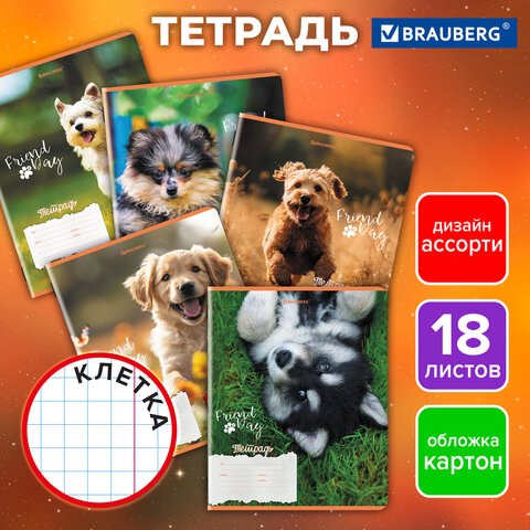 Тетрадь 18 л. BRAUBERG клетка, обложка картон, СОБАЧКИ, 107295 - фото 9
