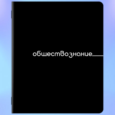 Тетради предметные, КОМПЛЕКТ 12 ПРЕДМЕТОВ, 48 л., обложка картон, BRAUBERG "BLACK", 405164 - фото 2