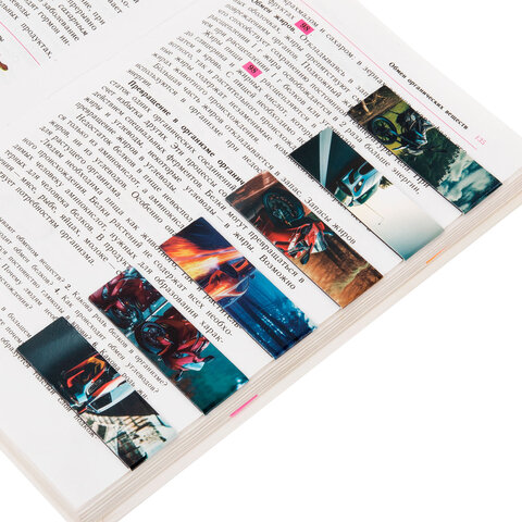 Закладки для книг МАГНИТНЫЕ, "BOYS", комплект 12 штук, 60x20 мм, FUNSTER (ФАНСТЕР), 116656 - фото 8