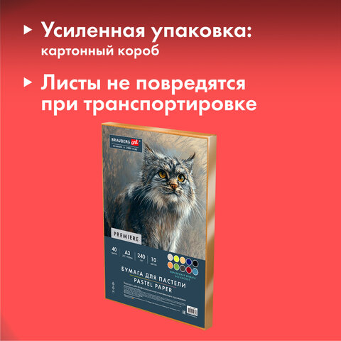 Бумага для пастели АБРАЗИВНАЯ А3 в коробке, 40 листов 10 цветов, 240 г/м2, BRAUBERG ART, 117768 - фото 5