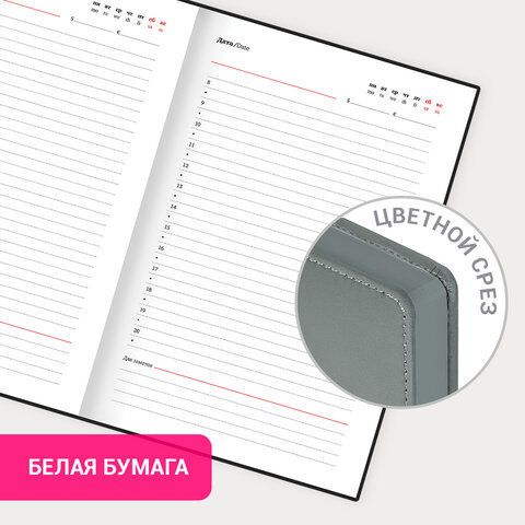 Ежедневник недатированный А5 138х213 мм, BRAUBERG "Safari", под кожу, магнит, 160 л., Snake, серый, 116594 - фото 14