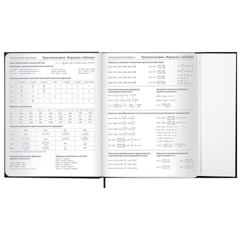 Дневник 1-11 класс 48 л., твердый, BRAUBERG, матовая ламинация, магнитный клапан, закладка-ляссе, с подсказом, "Дракон", 107245 - фото 17