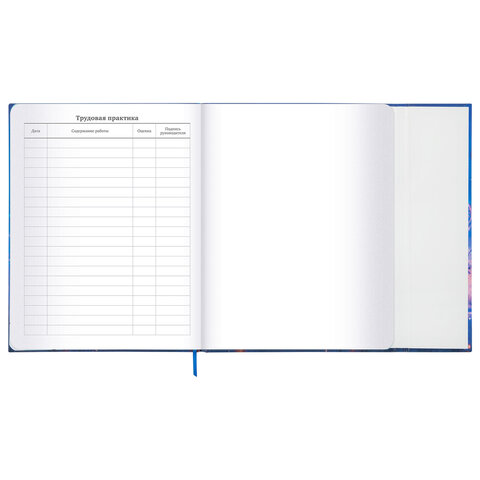 Дневник 1-11 класс 48 л., твердый, BRAUBERG, матовая ламинация, магнитный клапан, закладка-ляссе, с подсказом, "Magic", 107243 - фото 20