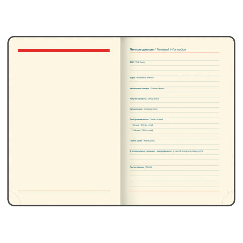 Ежедневник датированный 2026 B6 125х173 мм, GALANT "Vivid", под кожу, серый, 117410 - фото 5