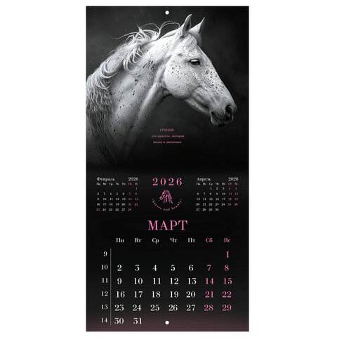 Календарь настенный перекидной 2026 г., BRAUBERG, 12 листов, 28,5х28,5 см, "Символ года", 116928 - фото 6